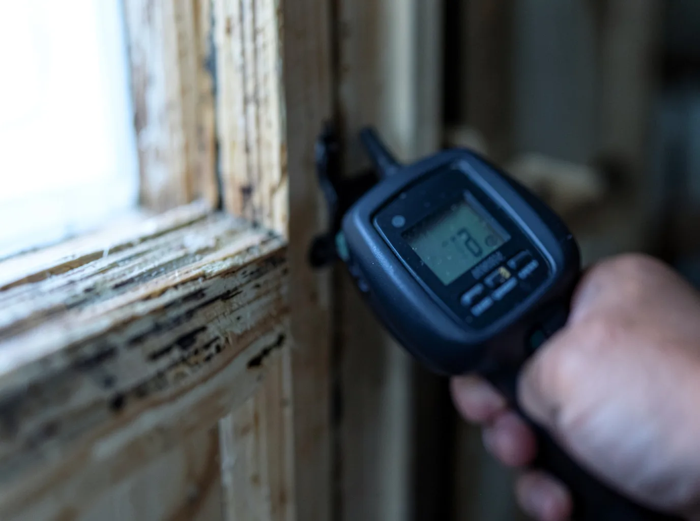 Moisture Inspection And Documentation in Burlington, WY